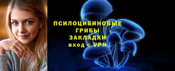 дмт Абаза