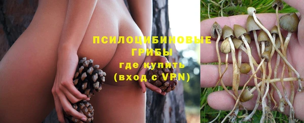 соль ск Алзамай