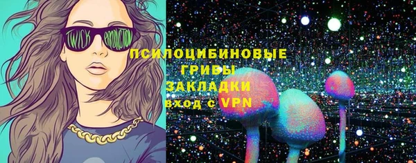 соль ск Алзамай