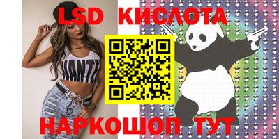 прущие крисы Гусев