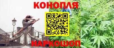 прущие крисы Гусев