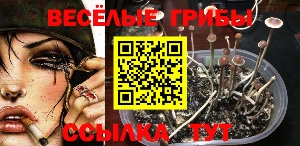 Когалым  Галлюциногенные грибы мухоморы  Вход с VPN 