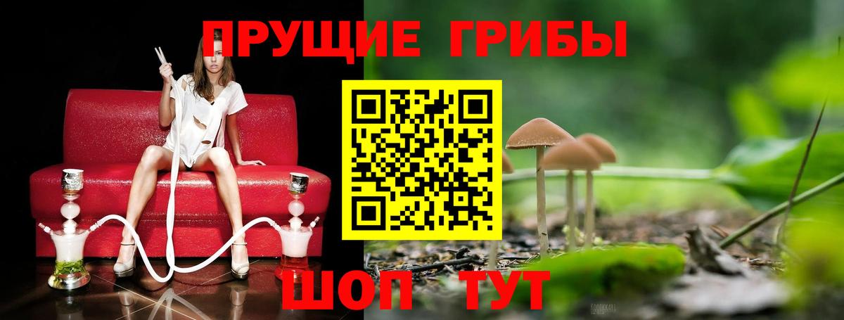 Псилоцибиновые грибы GOLDEN TEACHER Когалым